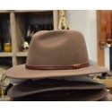 Chapeau Stetson 6