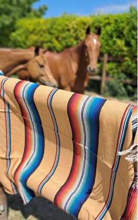Plaid Blanket TAN