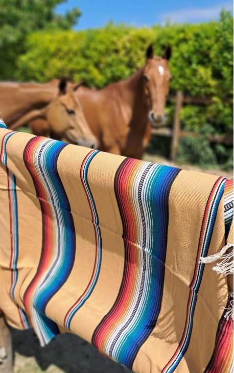 Plaid Blanket ROJO