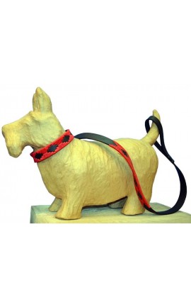 Argentina DOG Collars and leashes