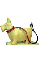 Argentina DOG Collars and leashes